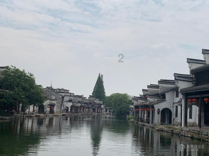 救援袋鼬